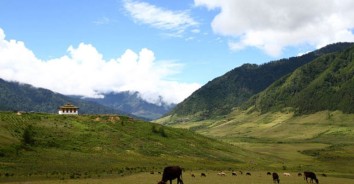 Gangtey Trek