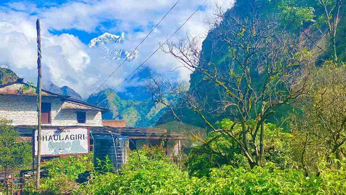 Book Annapurna Dhaulagiri Trek