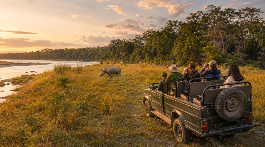 What Can You Do in a 2 Night 3 Days Sauraha Tour? Complete Chitwan Itinerary Guide